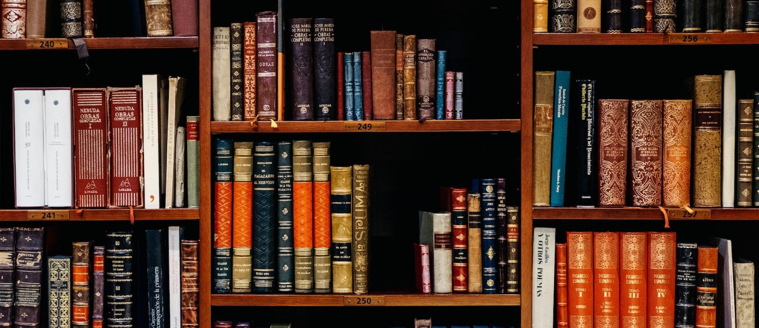 SEO For Small Business Liverpool, SEO Agency Liverpool, Acme