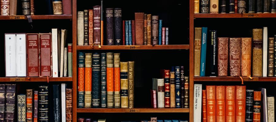 SEO For Small Business Liverpool, SEO Agency Liverpool, Acme